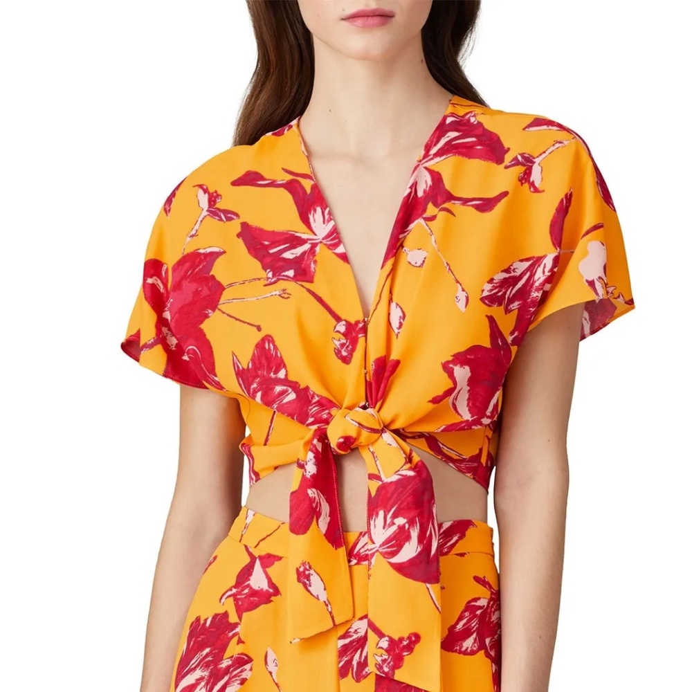 RTR Color Me Courtney Lori Wrap Crop Top - size 4